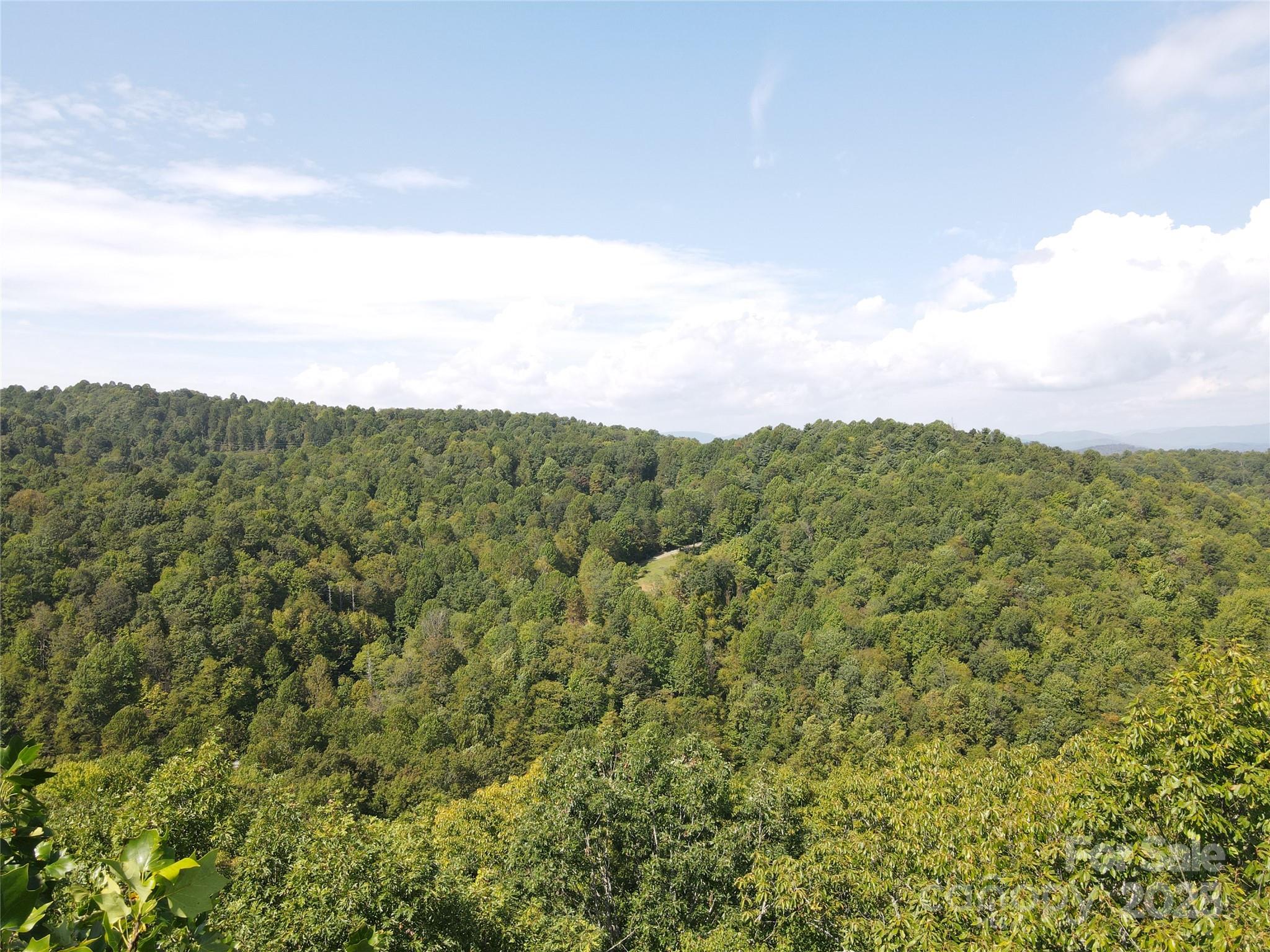 303 Ladd Ridge