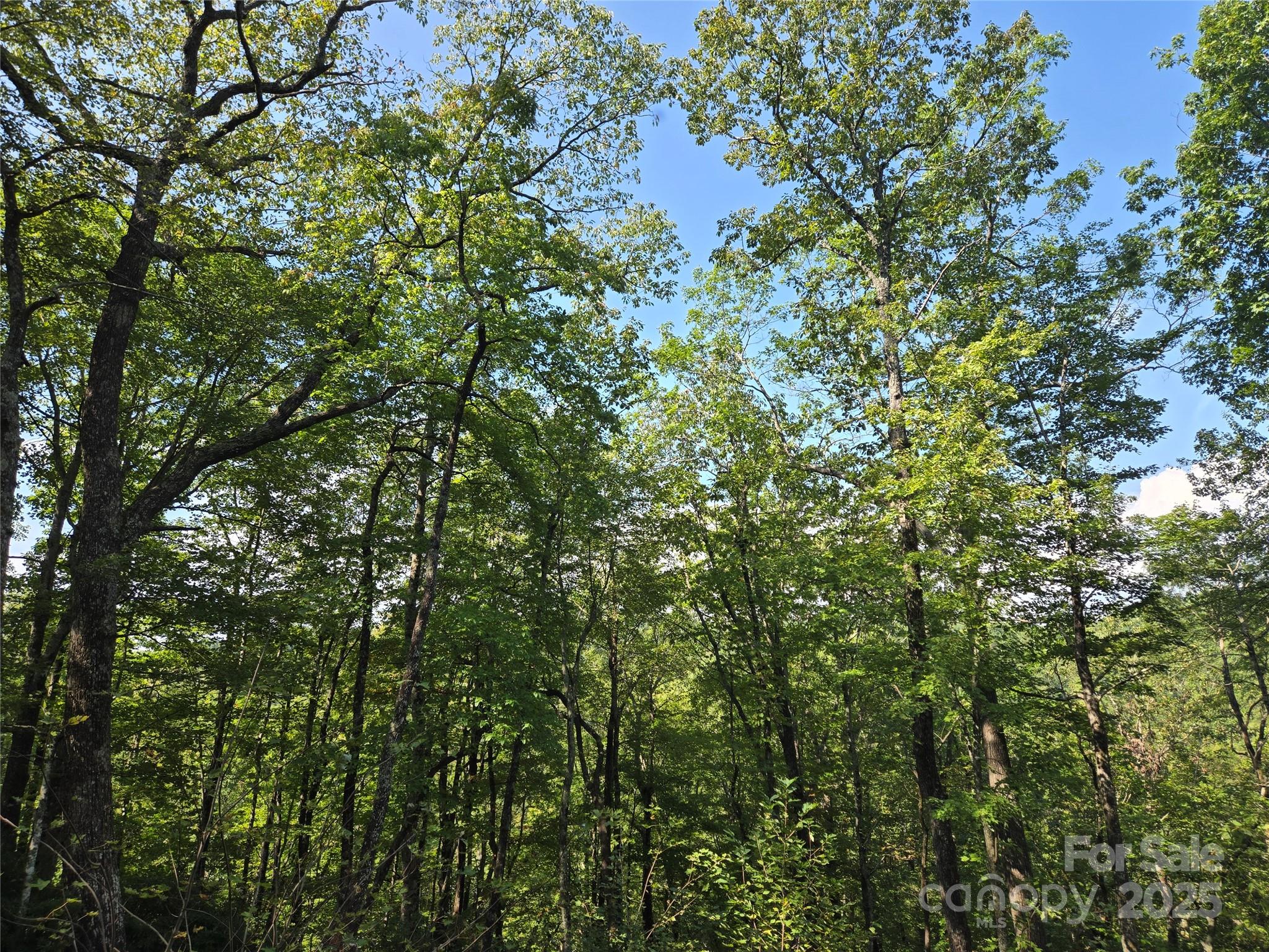 303 Ladd Ridge