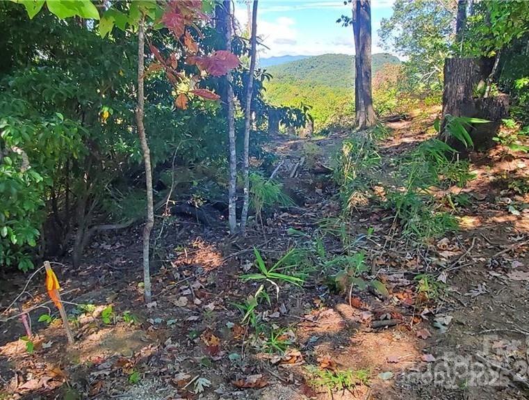 303 Ladd Ridge