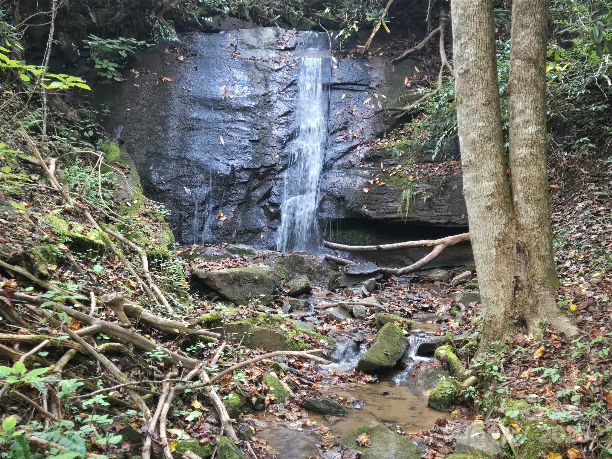 303 Ladd Ridge