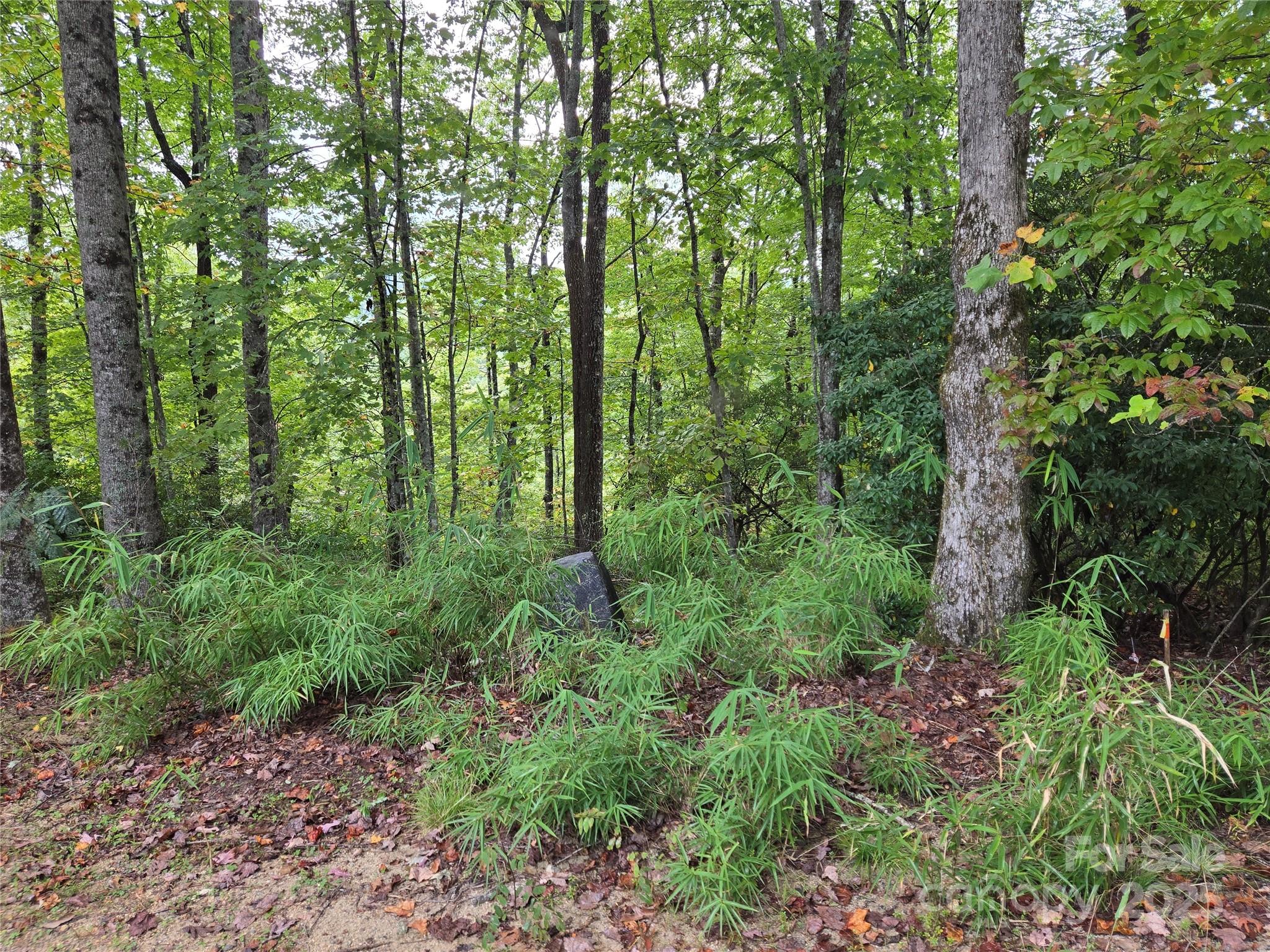 303 Ladd Ridge