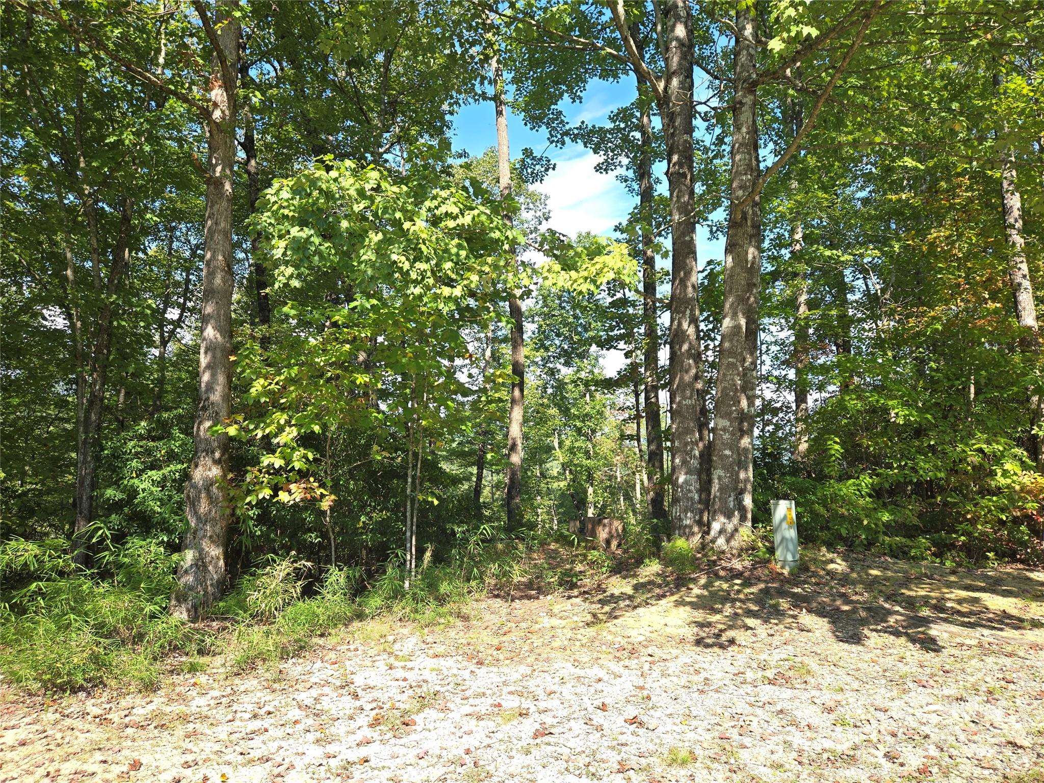 303 Ladd Ridge