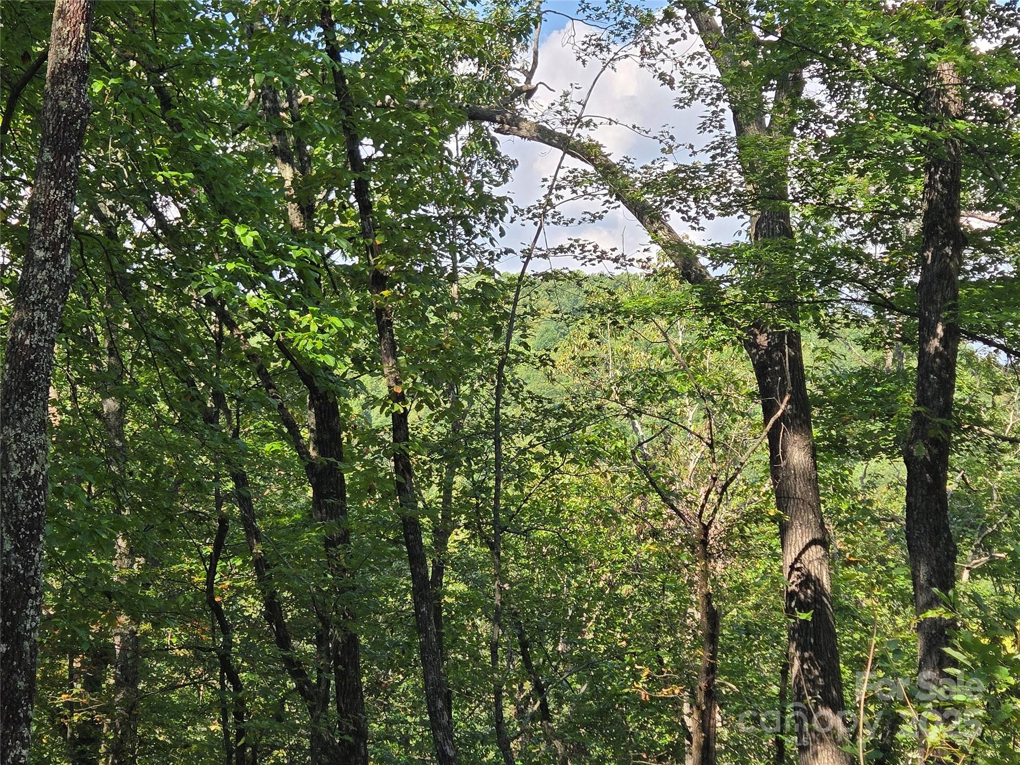 303 Ladd Ridge