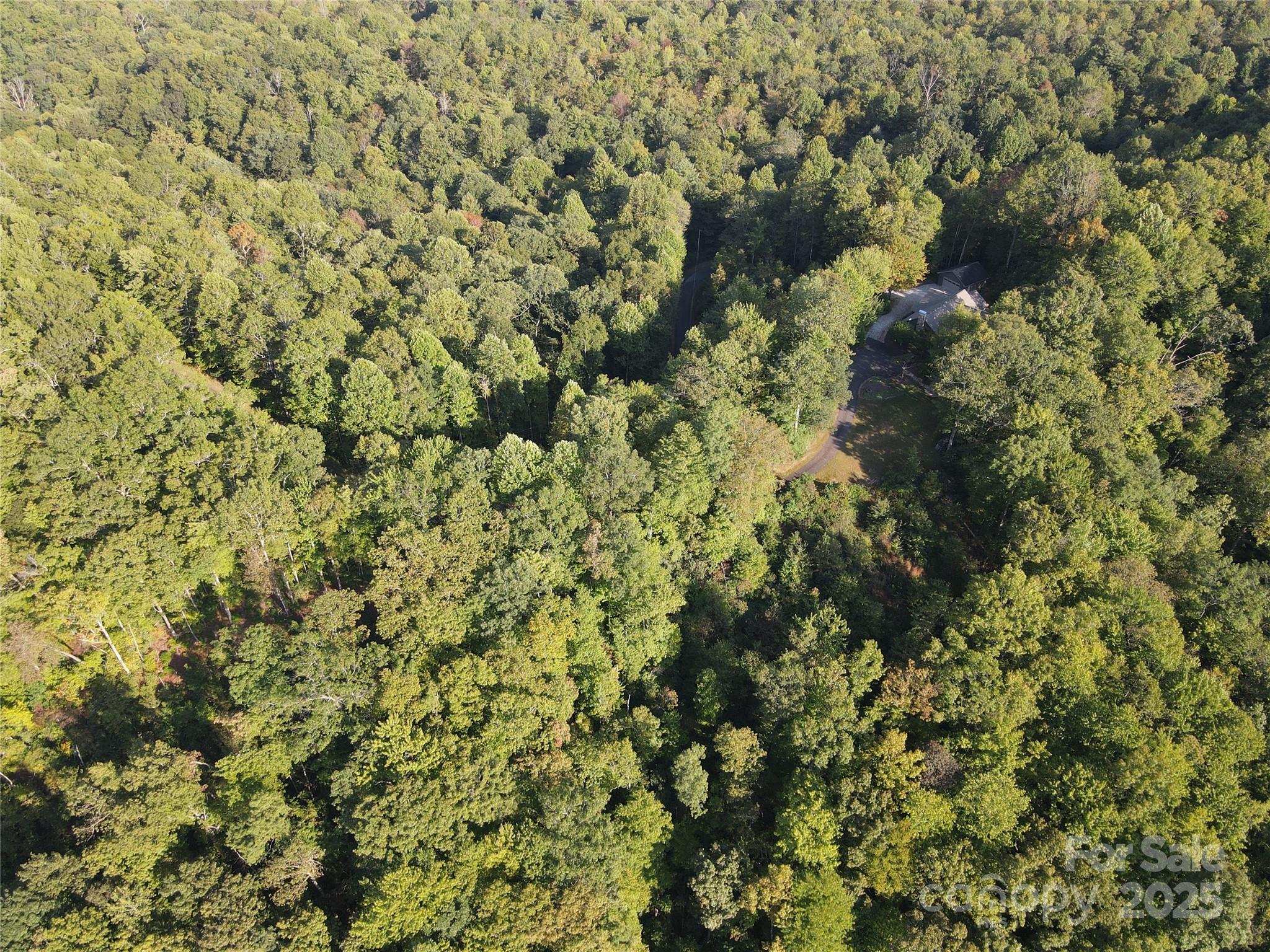 303 Ladd Ridge