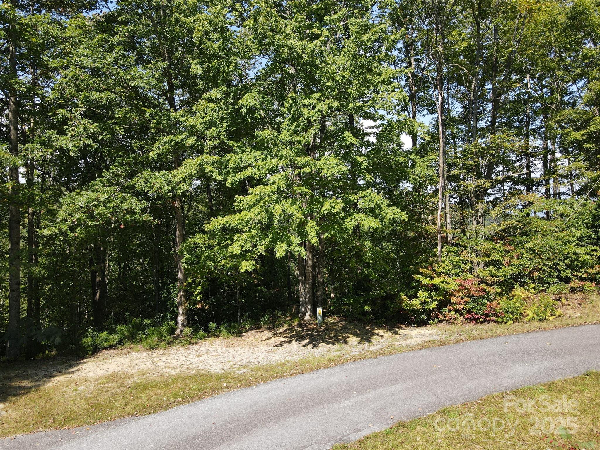 303 Ladd Ridge