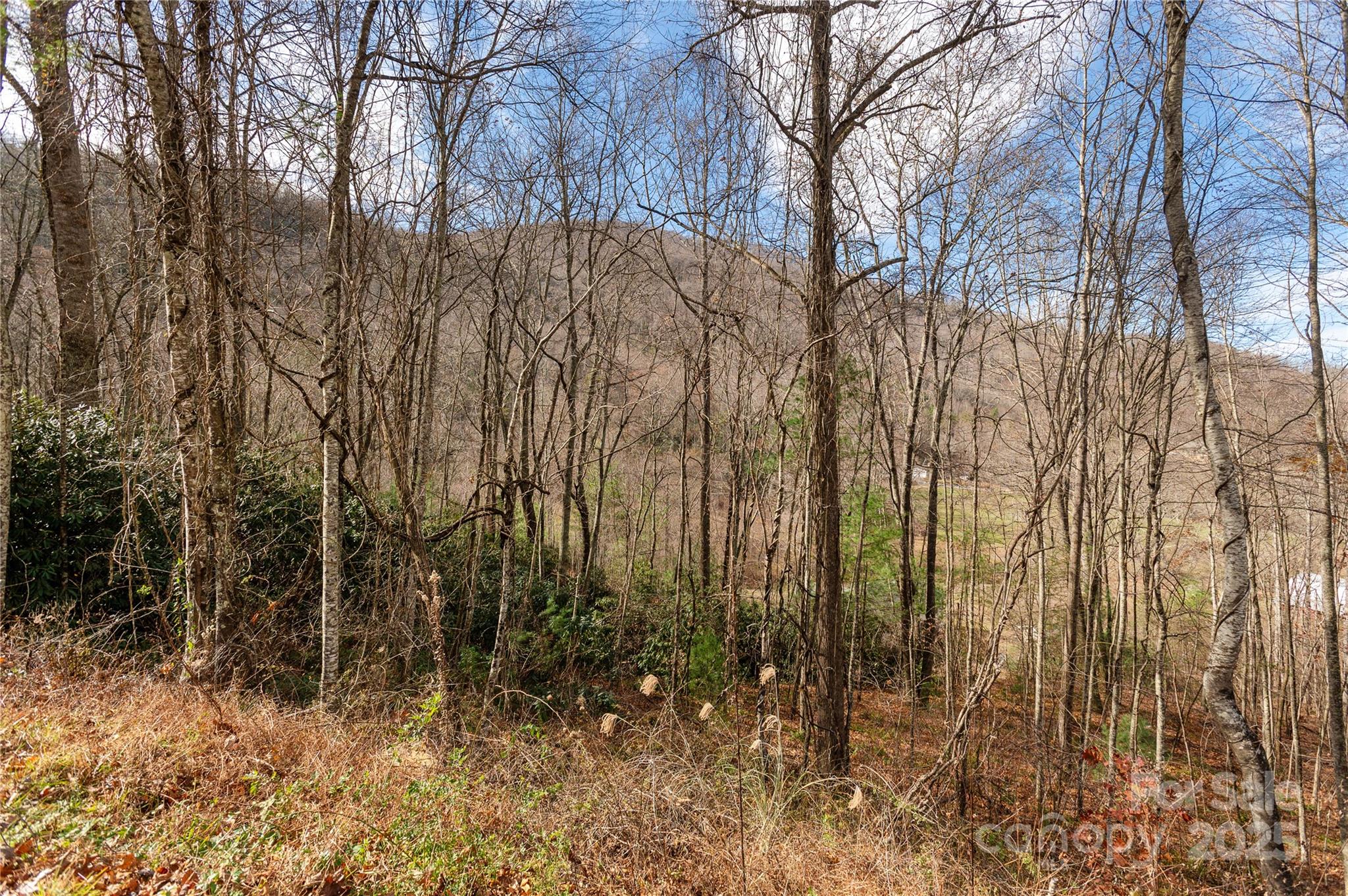 00 Terrys Gap Road
