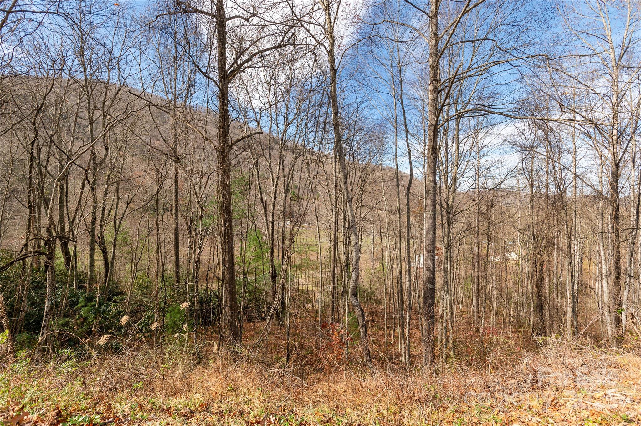 00 Terrys Gap Road