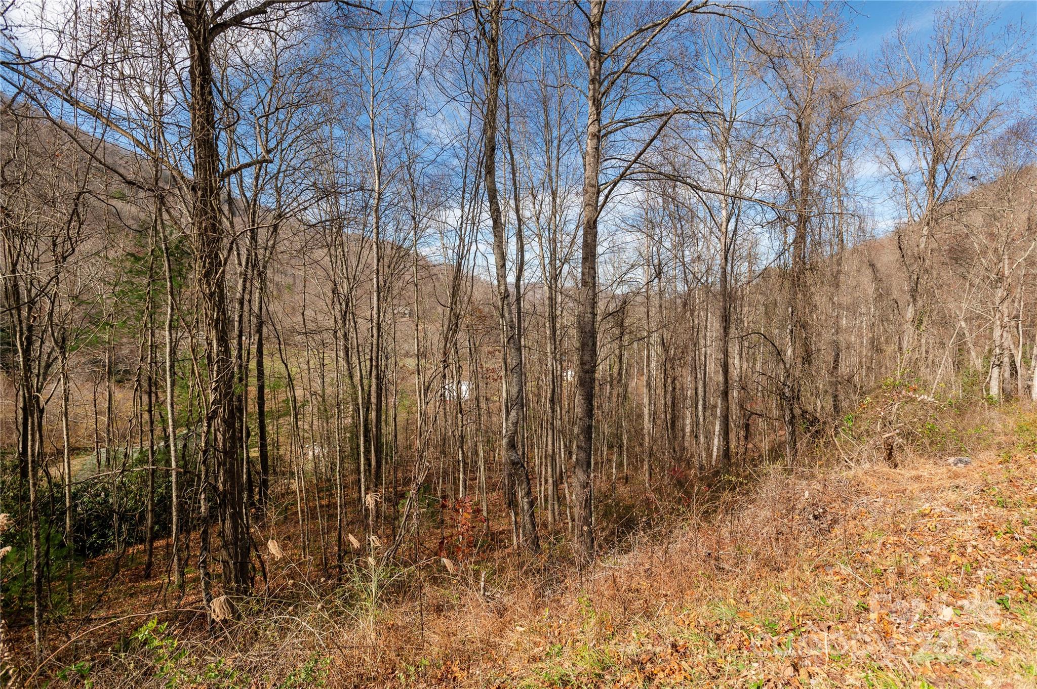 00 Terrys Gap Road