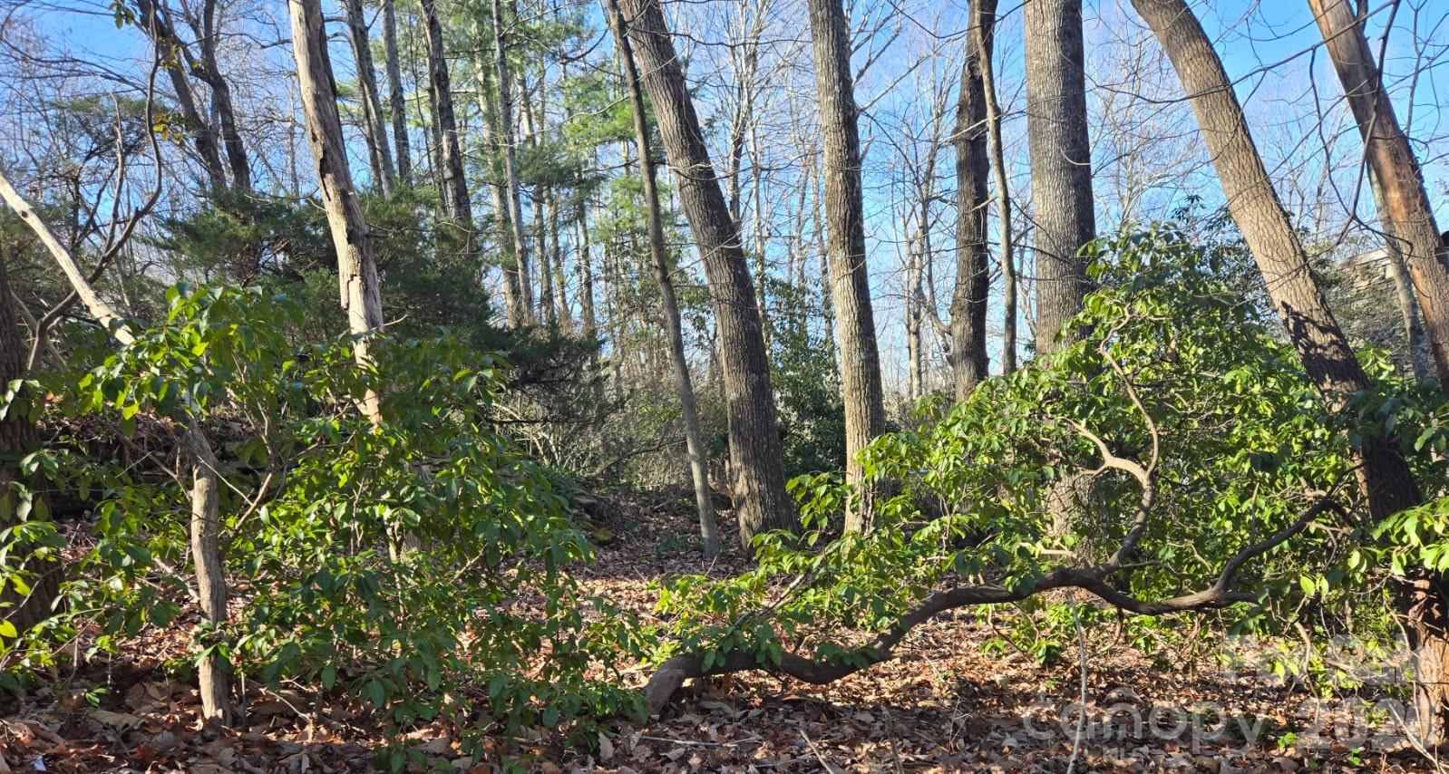 120 Breckenridge Court