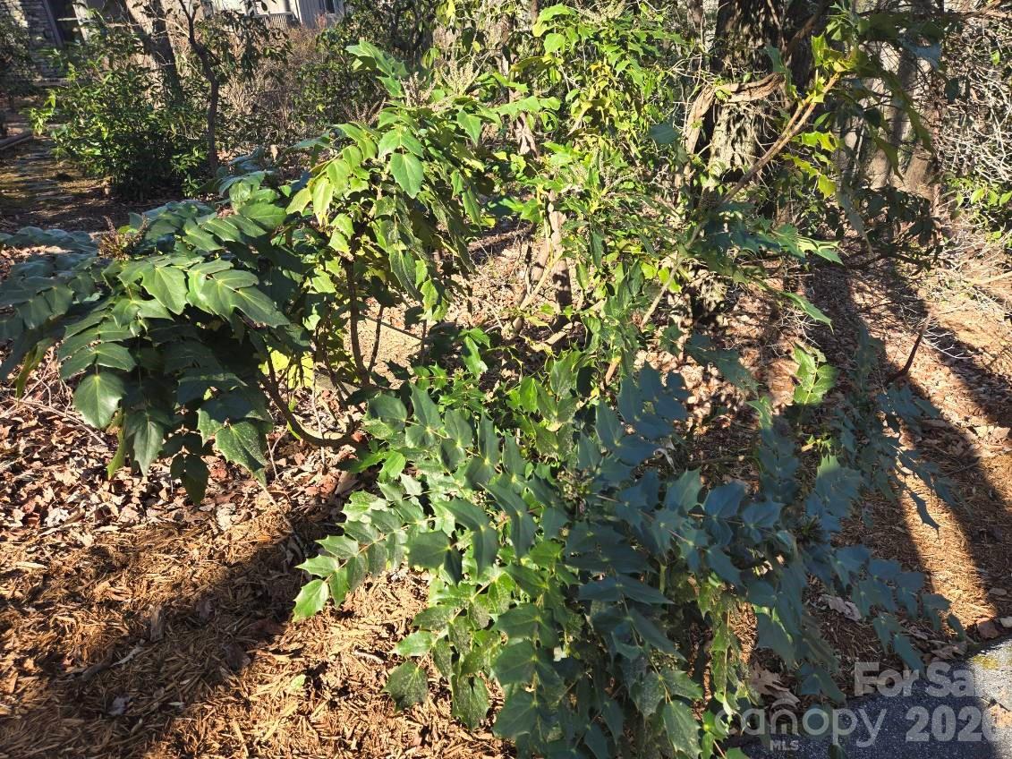 120 Breckenridge Court