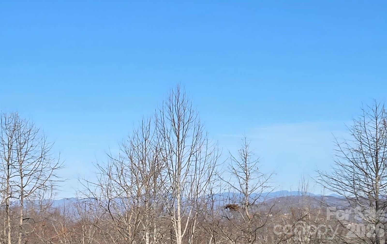 120 Breckenridge Court