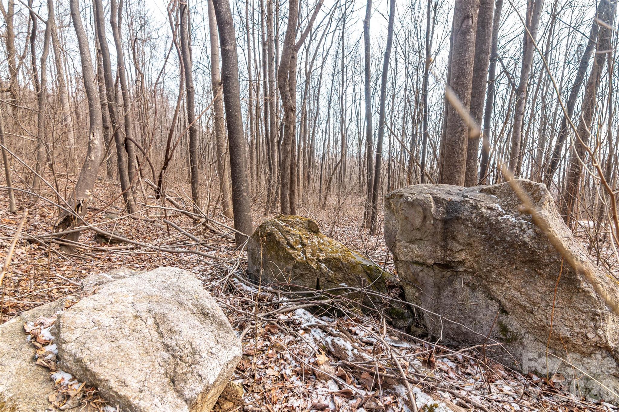 630 Spring Cove Lane