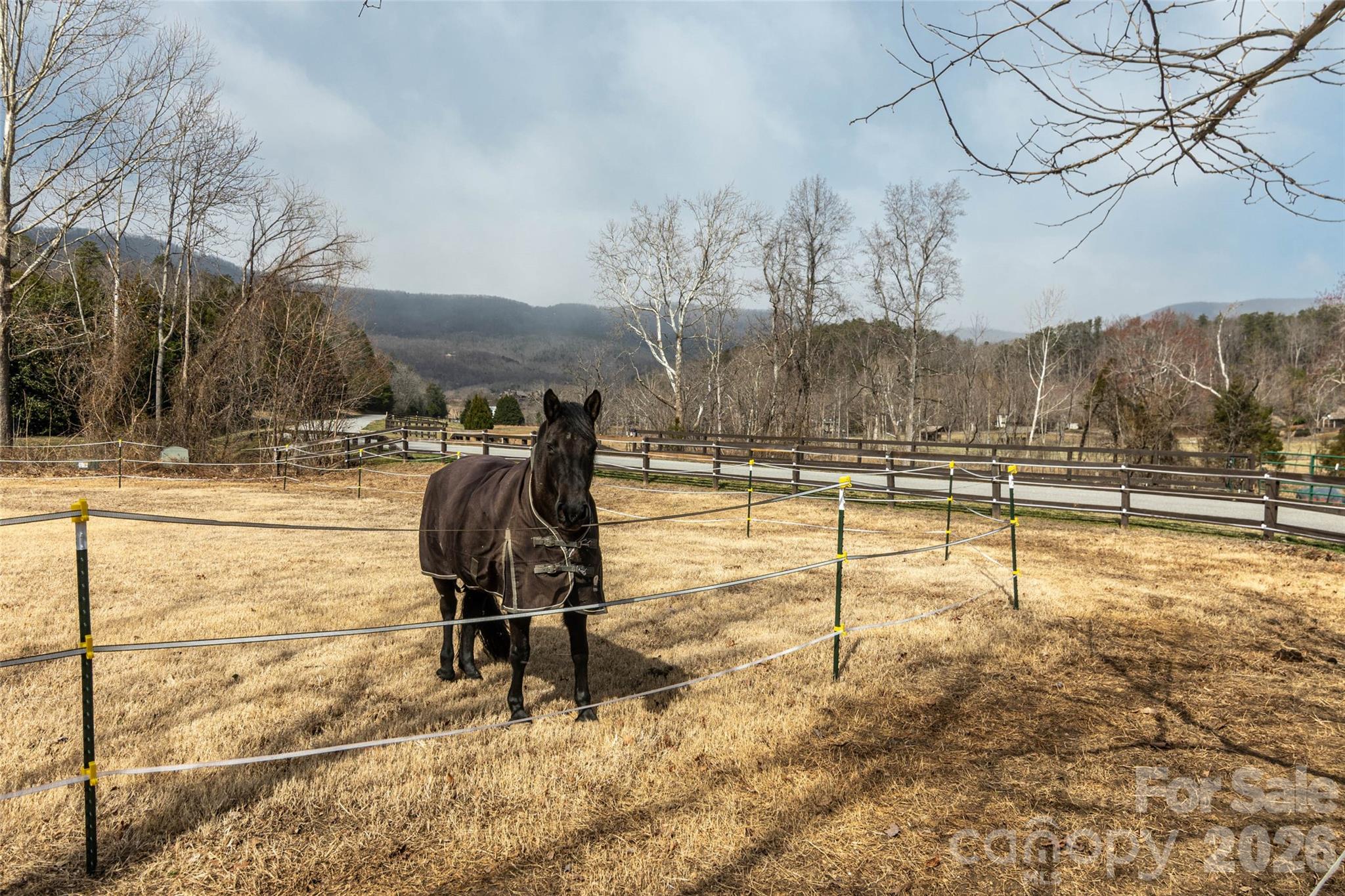 630 Spring Cove Lane