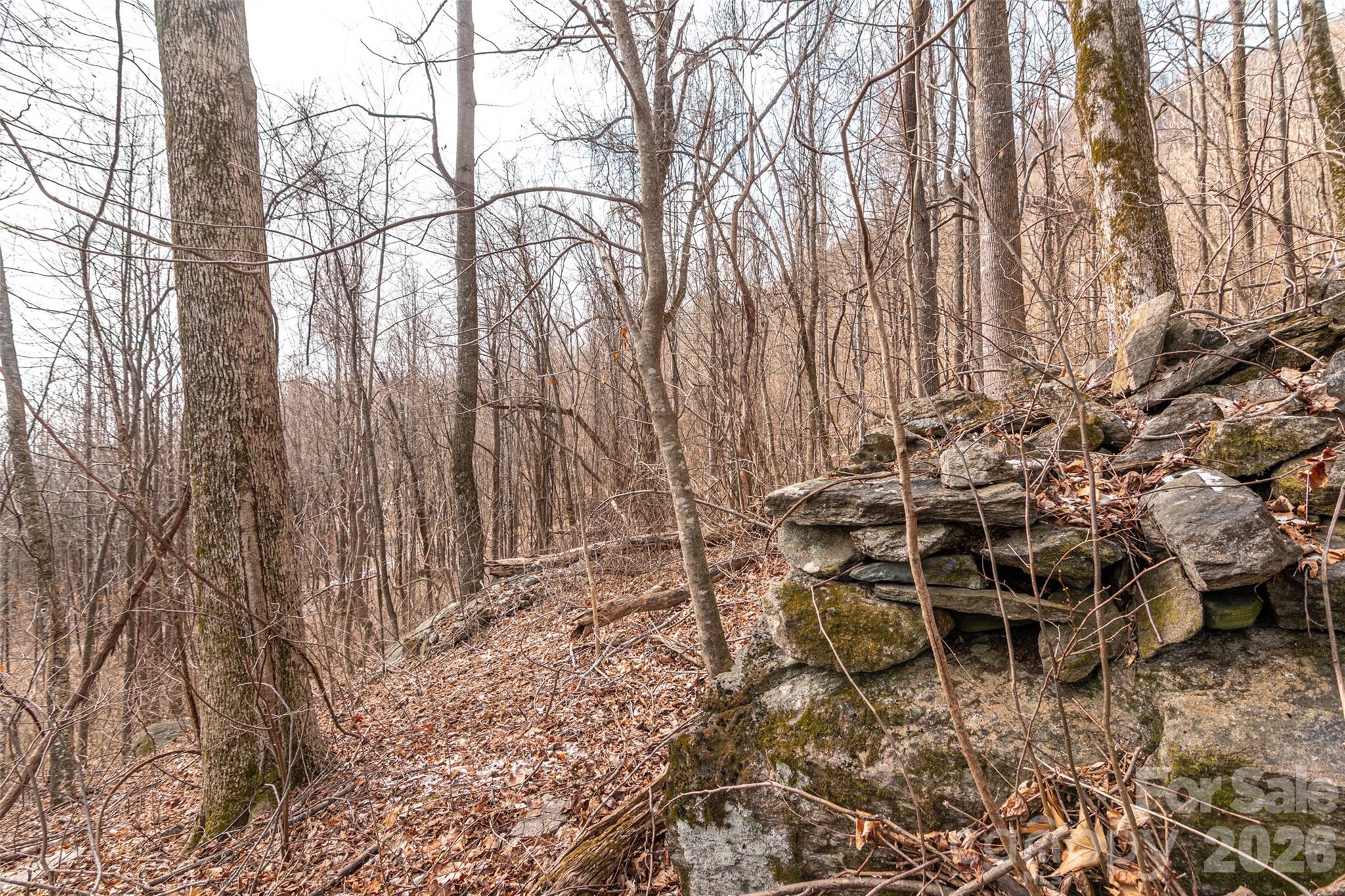 630 Spring Cove Lane