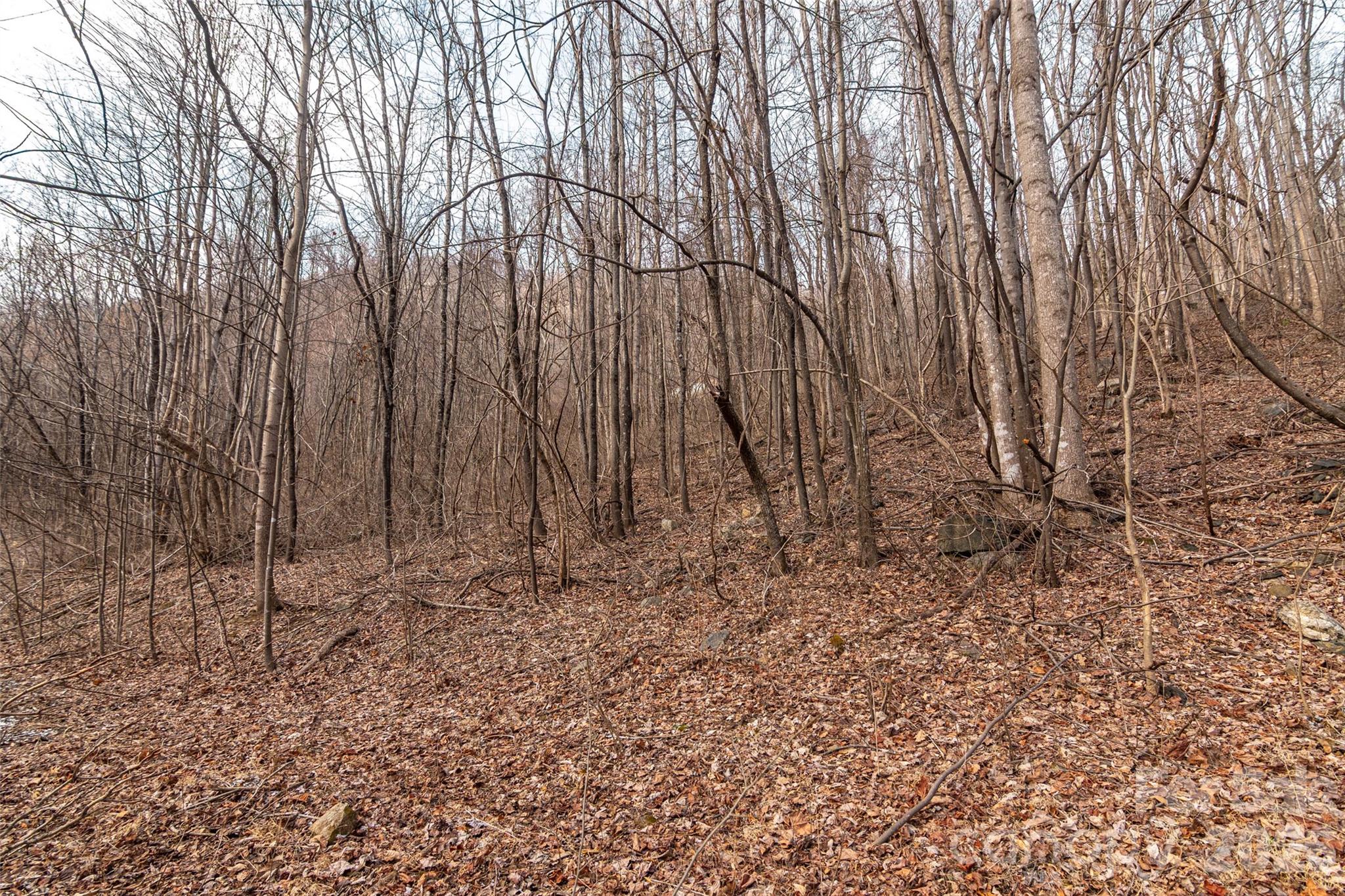 630 Spring Cove Lane