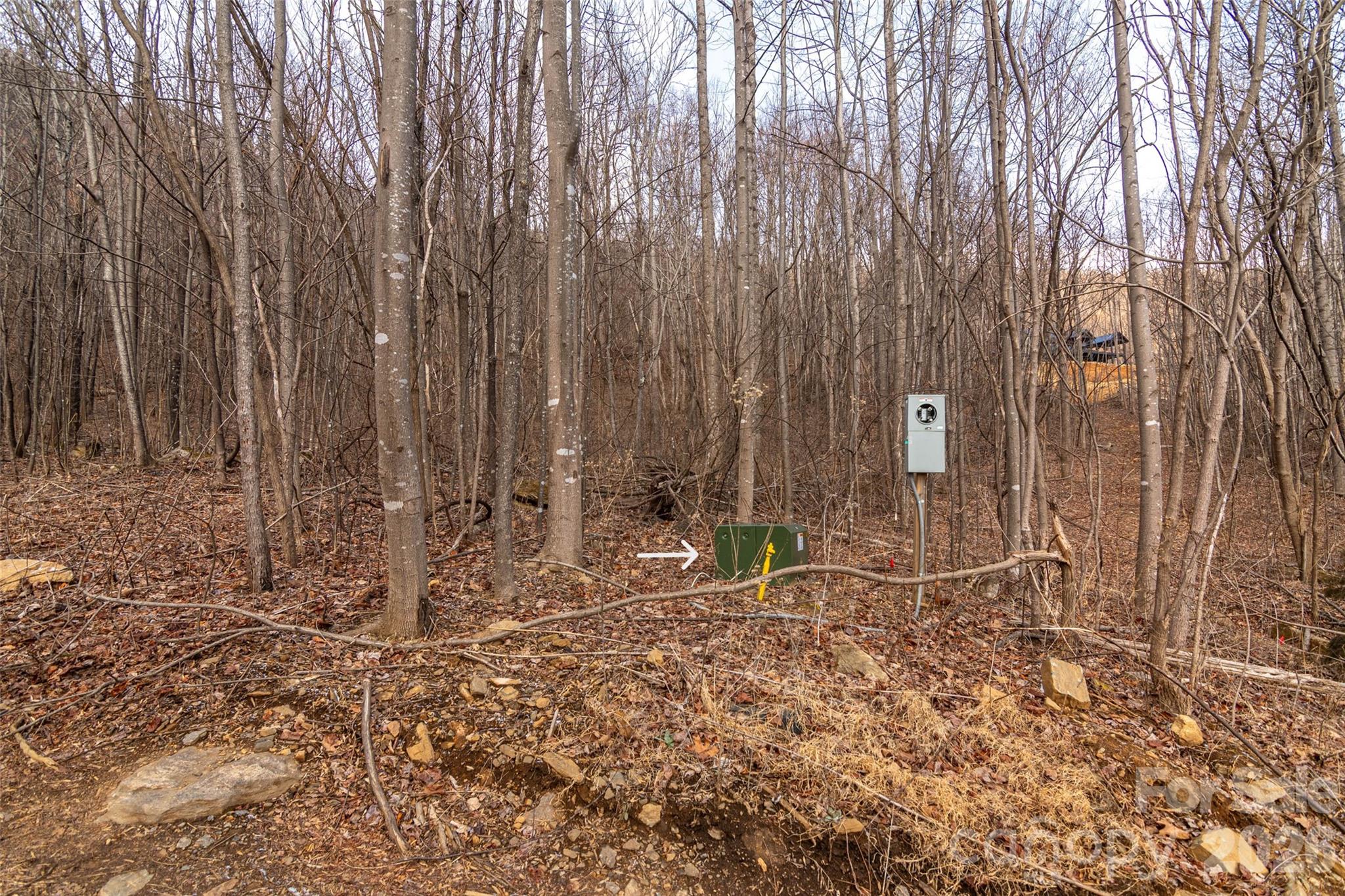 630 Spring Cove Lane