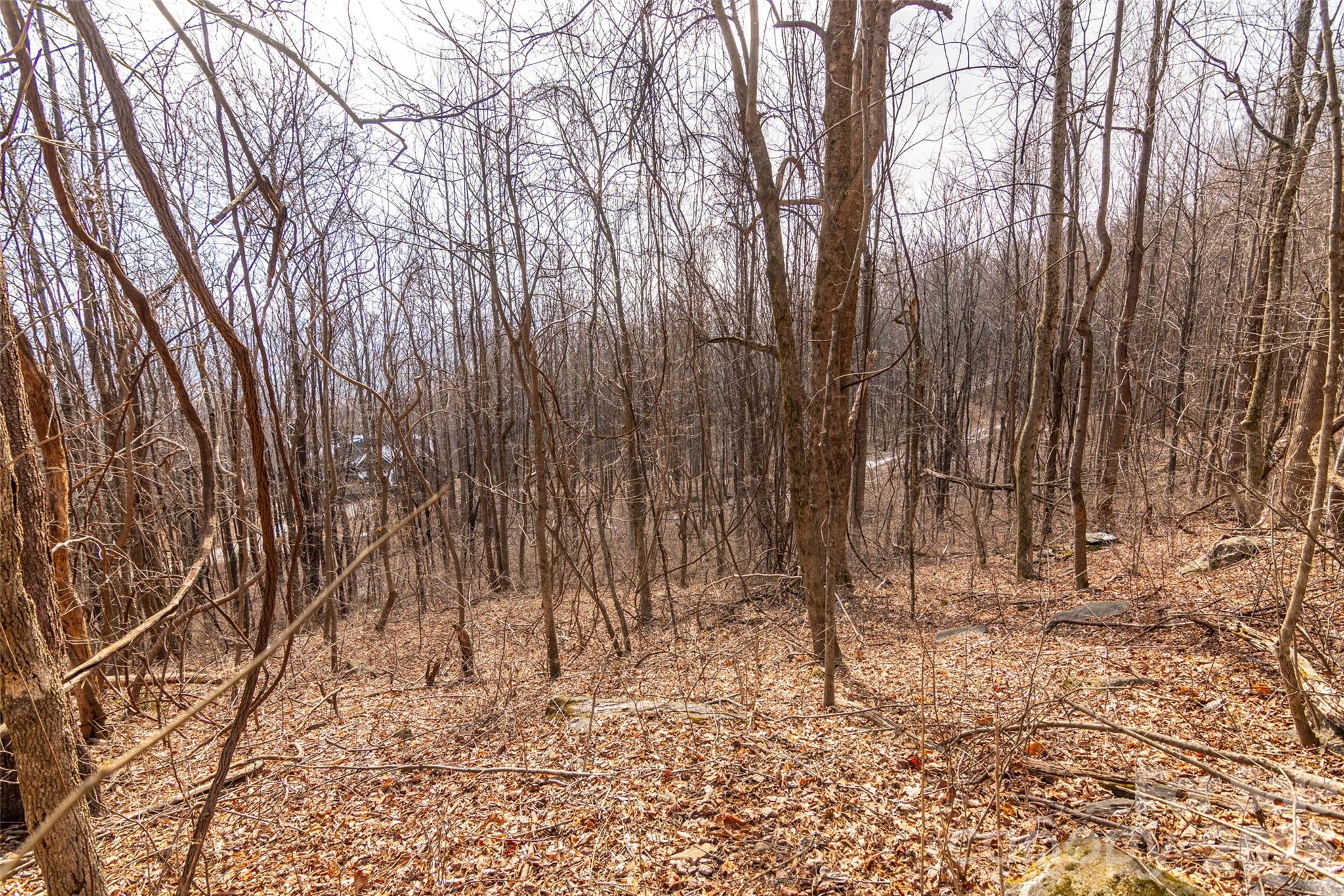 630 Spring Cove Lane