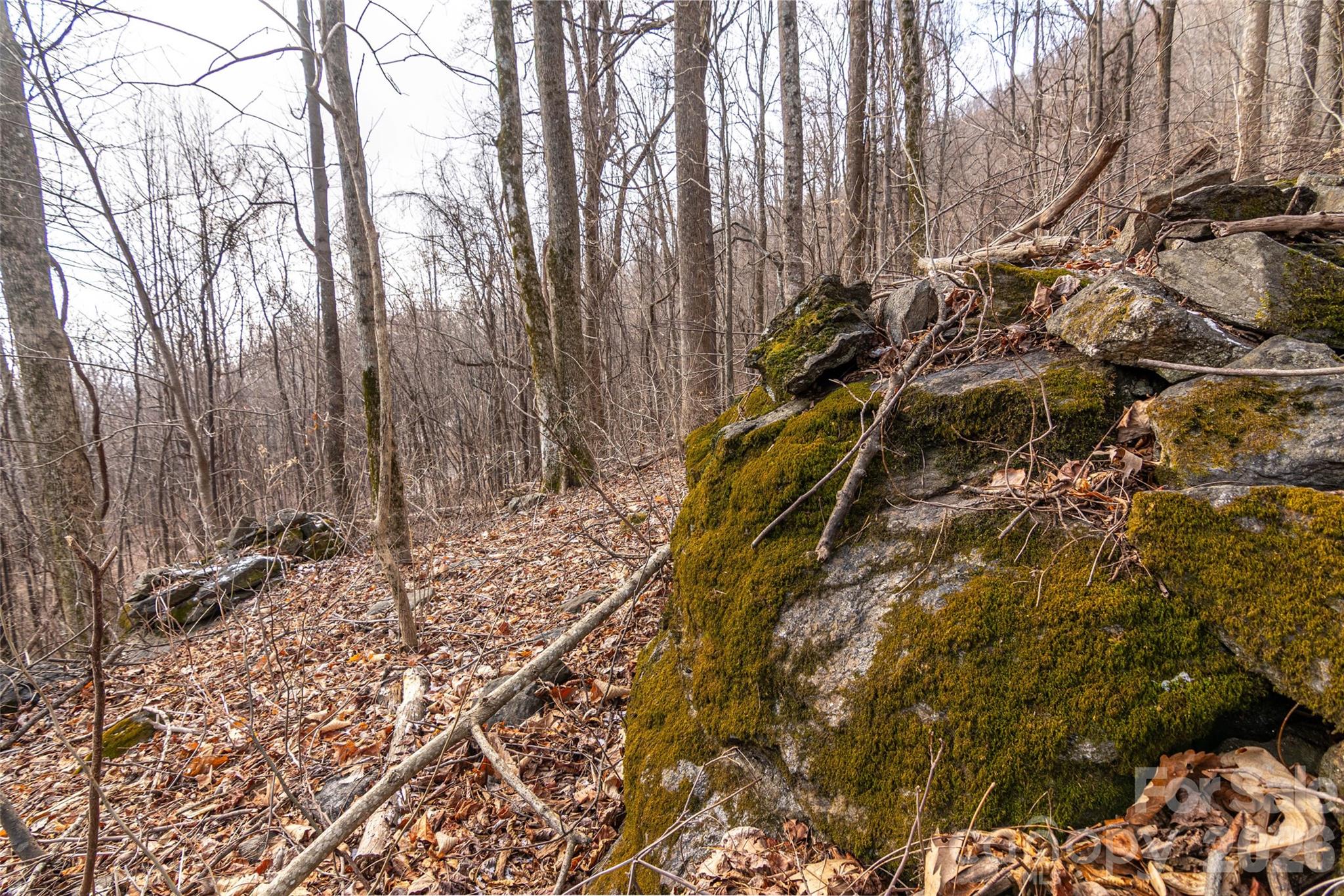 630 Spring Cove Lane