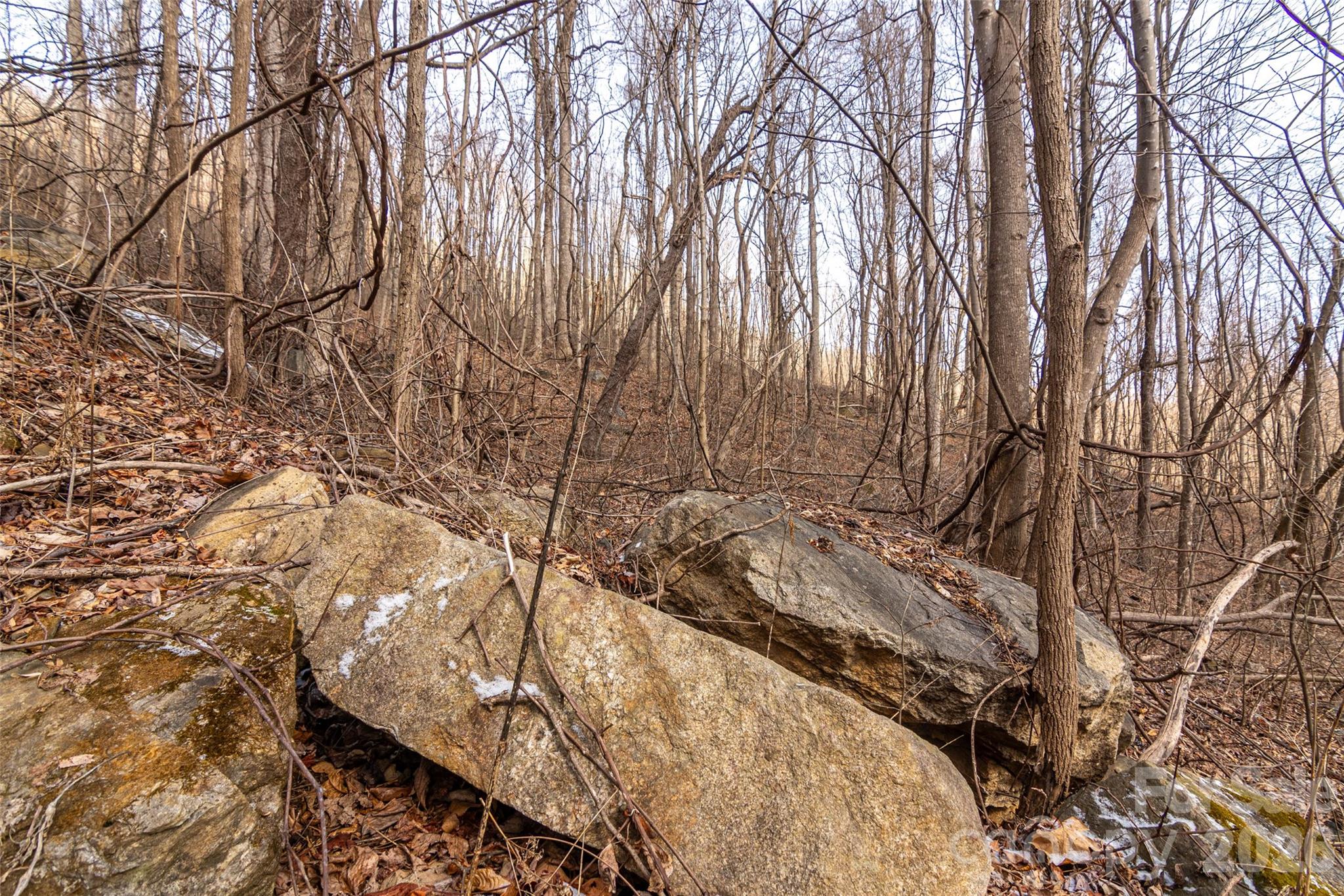 630 Spring Cove Lane