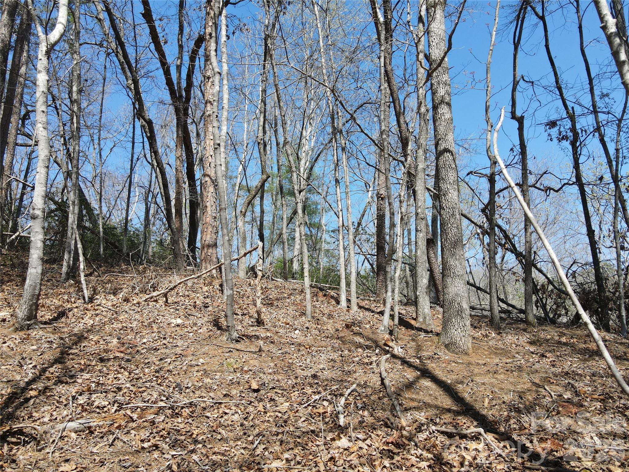 284 Oriole Drive