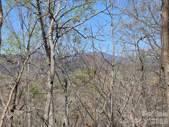 600 High Pines Loop