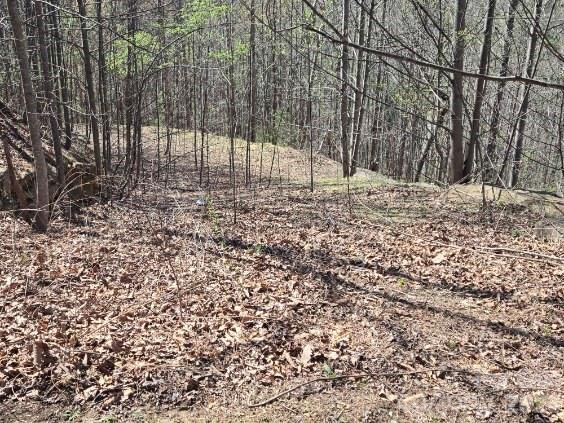 600 High Pines Loop