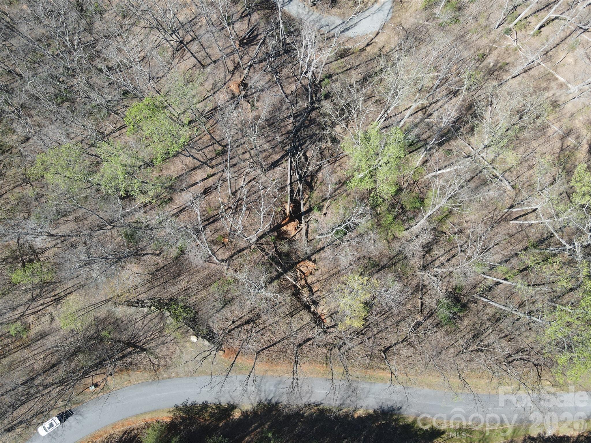 600 High Pines Loop