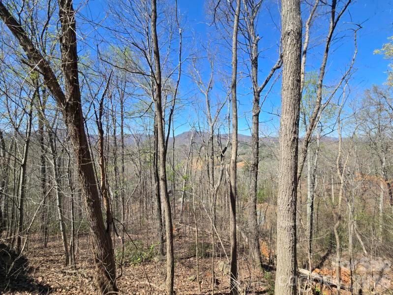 600 High Pines Loop