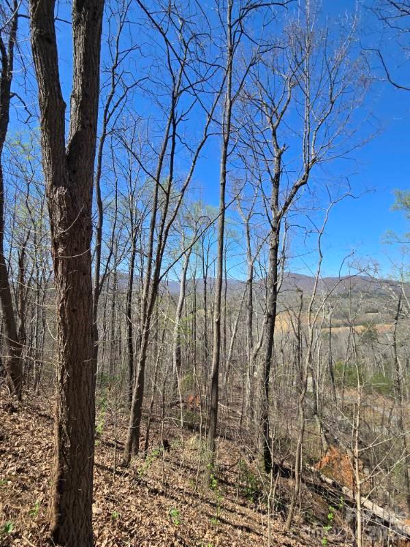 600 High Pines Loop