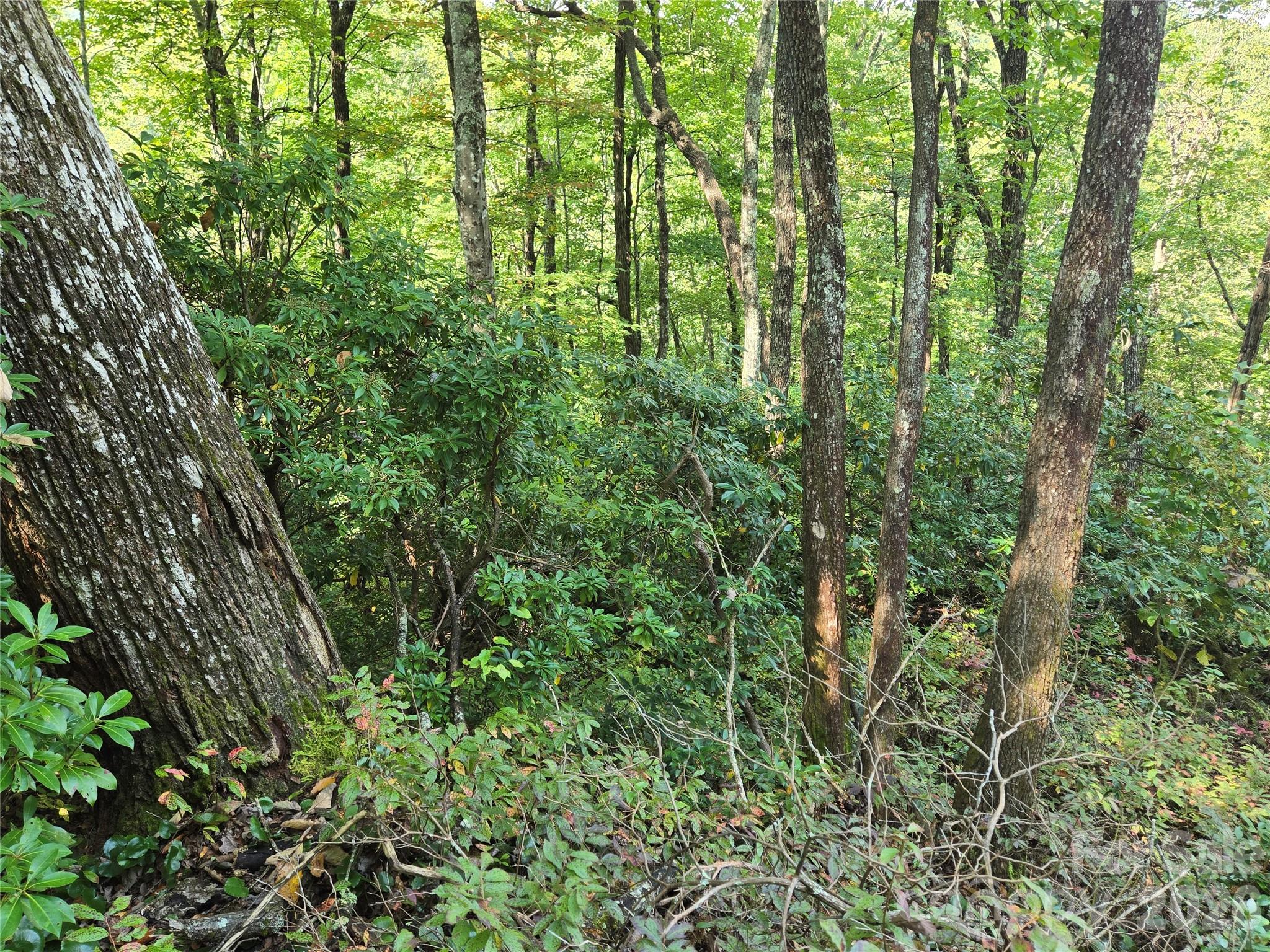 283 Ladd Ridge