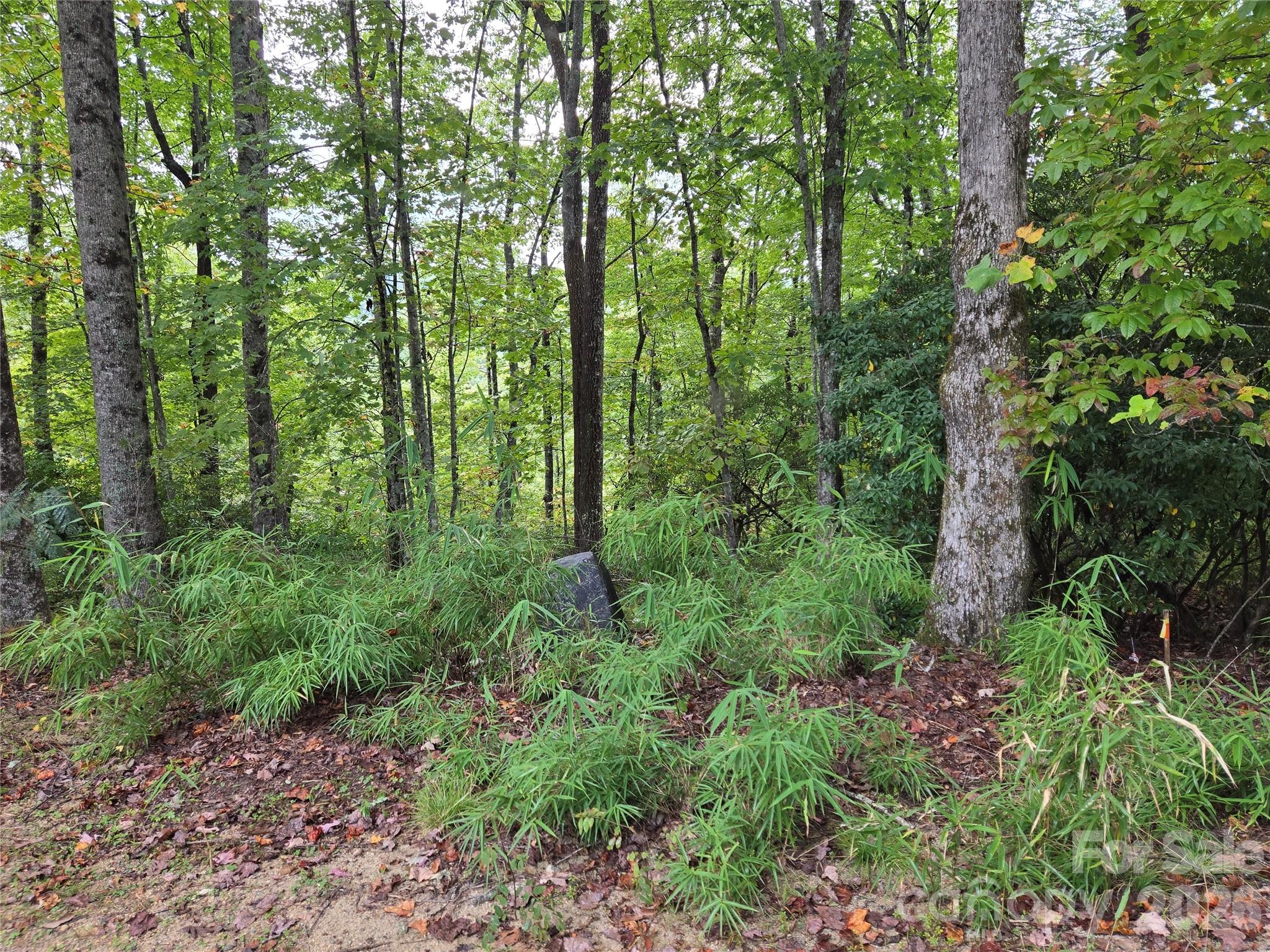 283 Ladd Ridge
