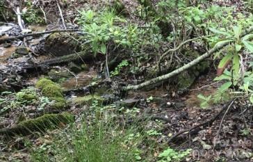 283 Ladd Ridge