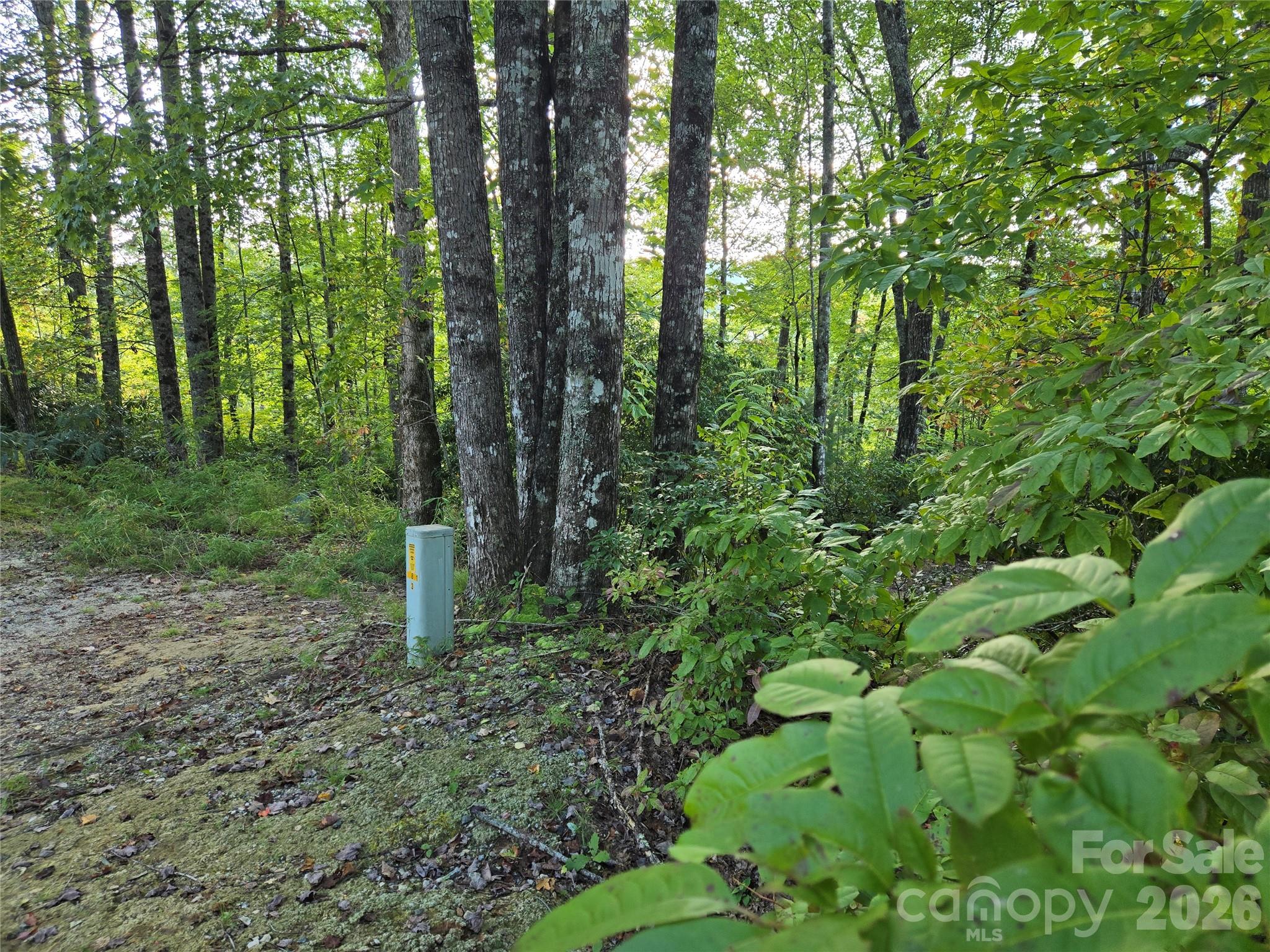 283 Ladd Ridge