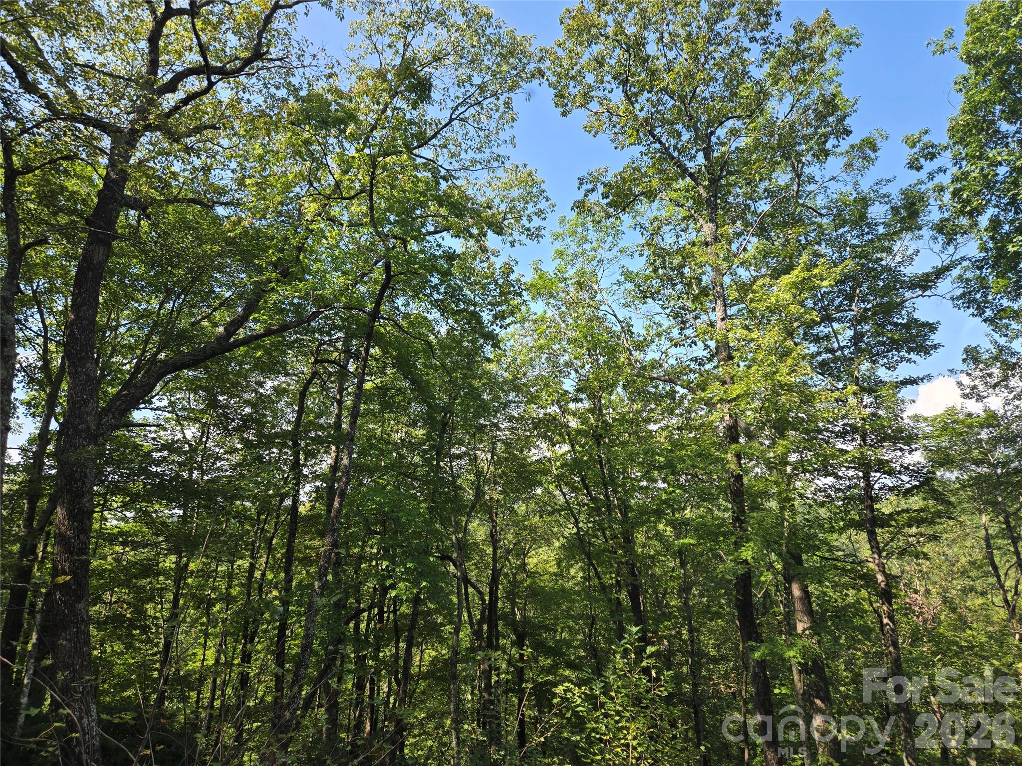 283 Ladd Ridge