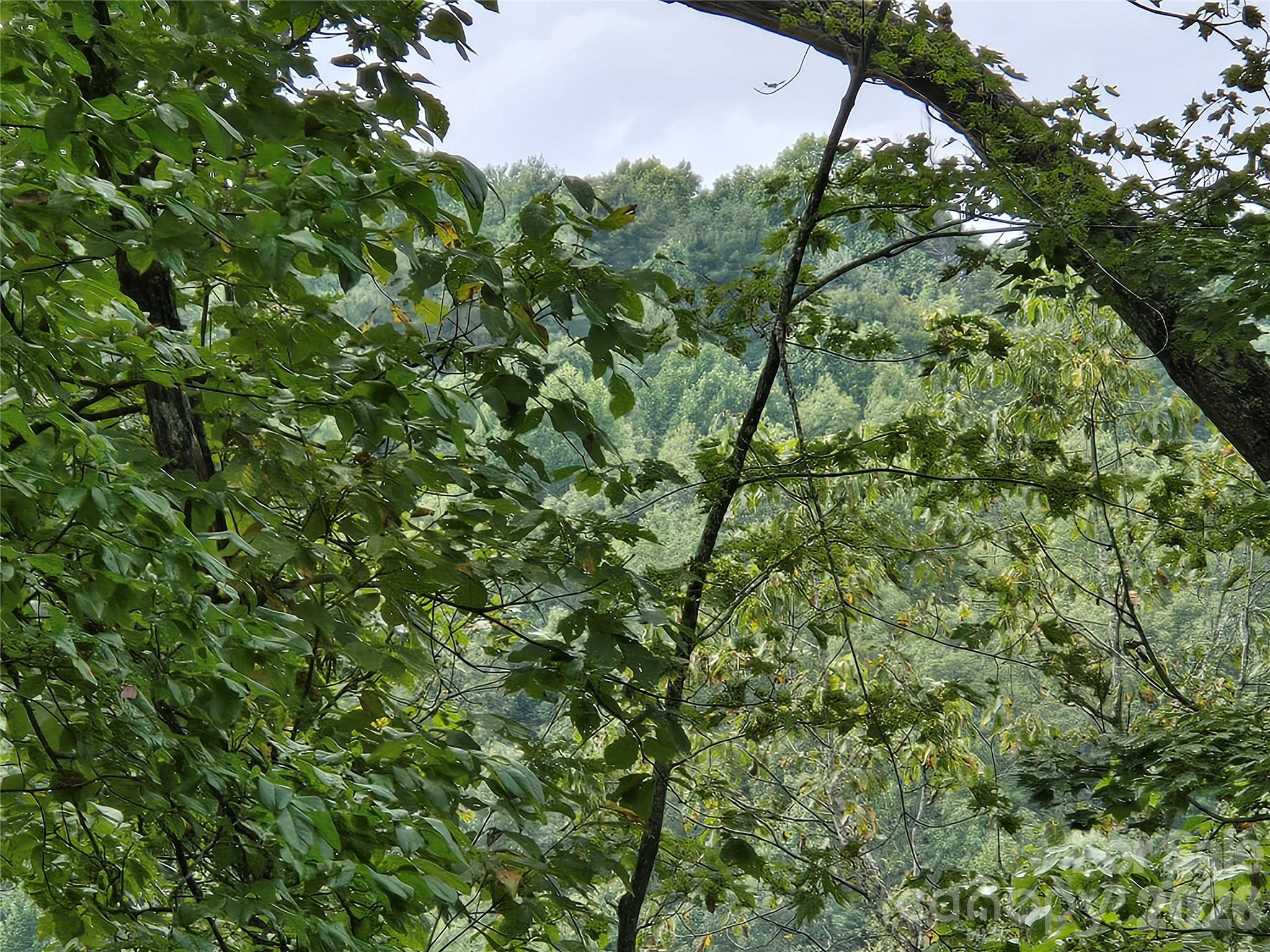 283 Ladd Ridge