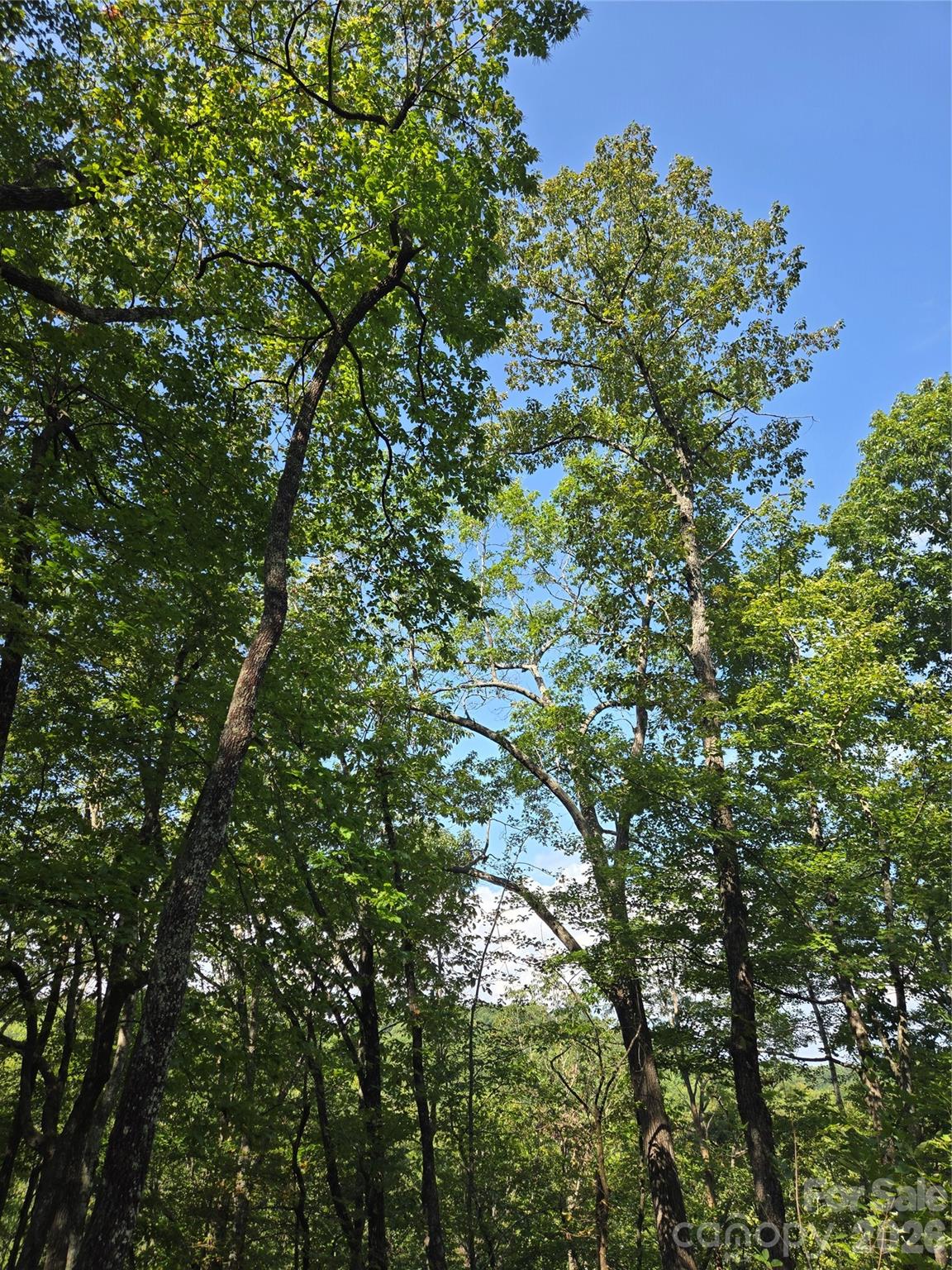 283 Ladd Ridge
