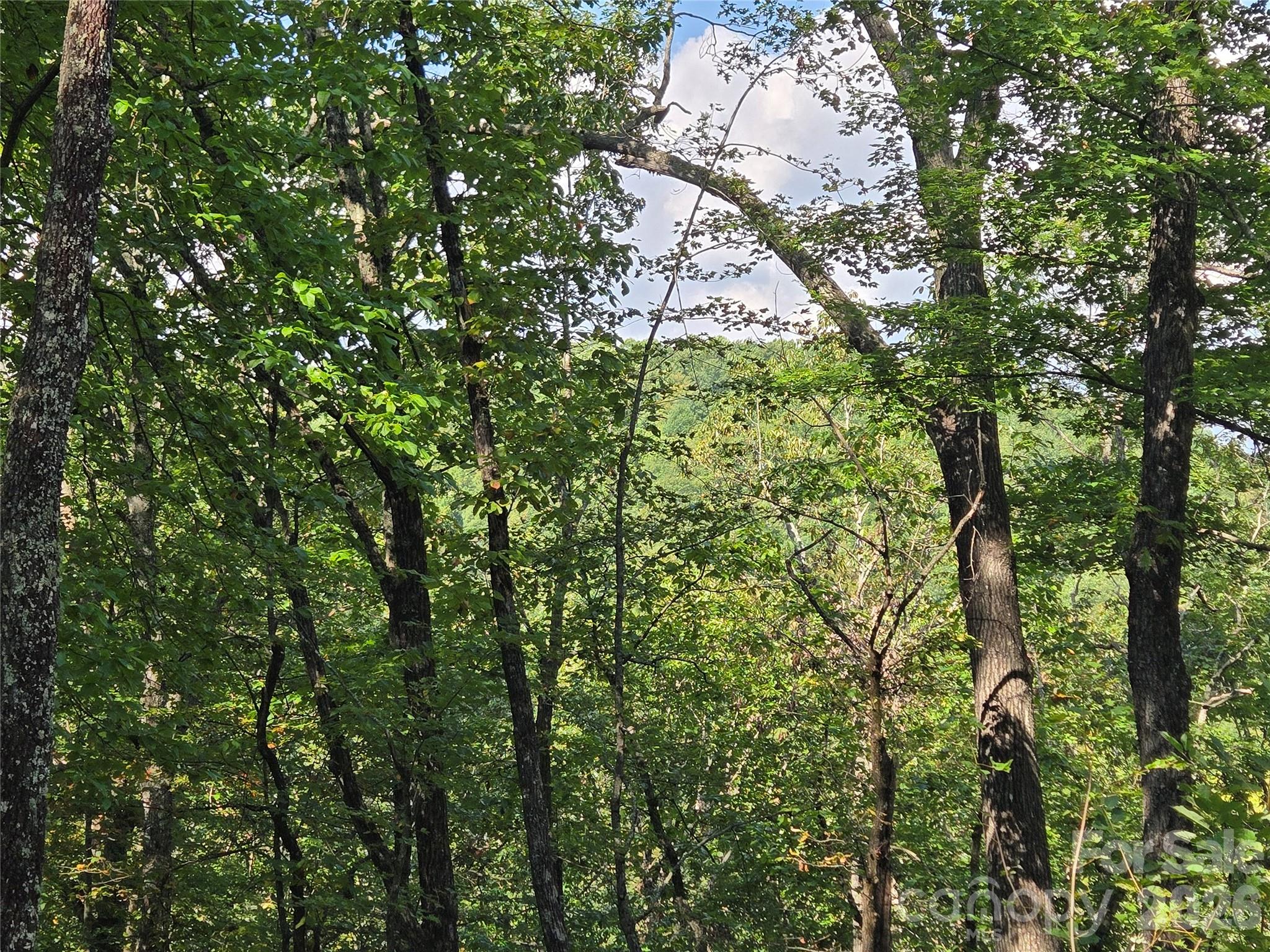 283 Ladd Ridge