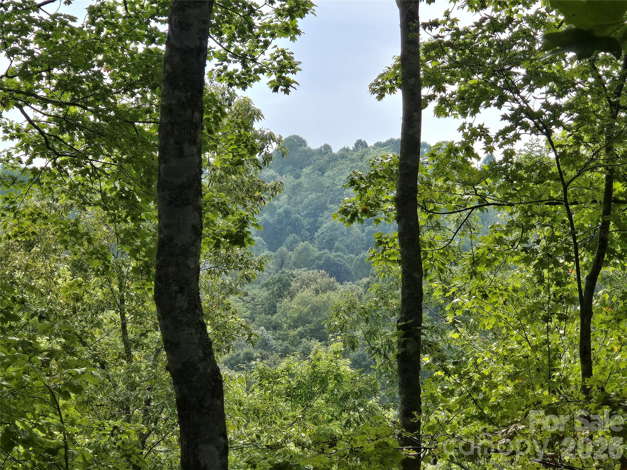 283 Ladd Ridge