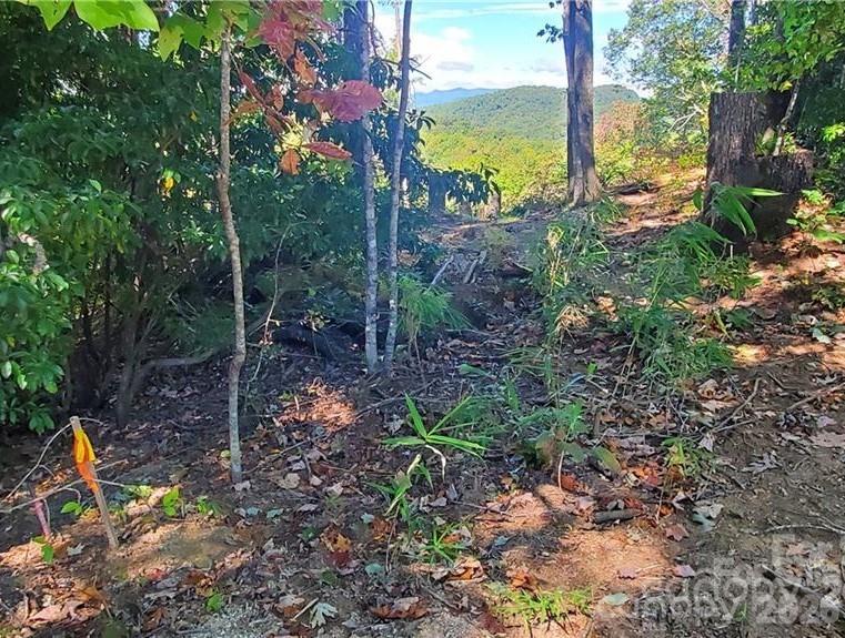 283 Ladd Ridge