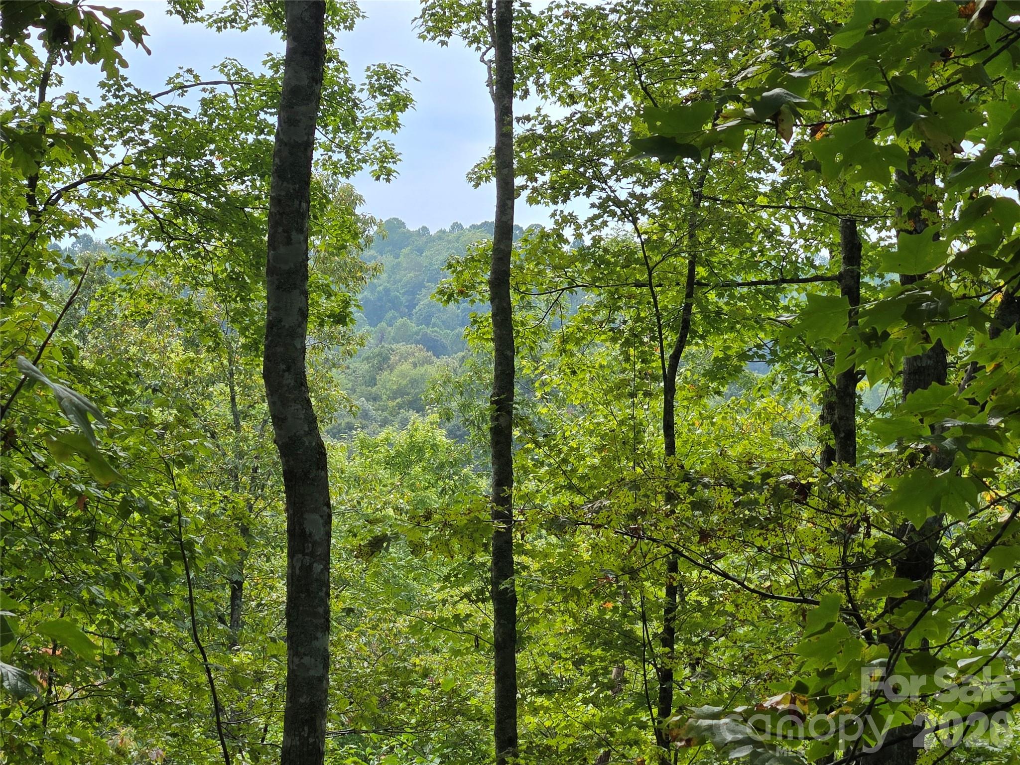 283 Ladd Ridge