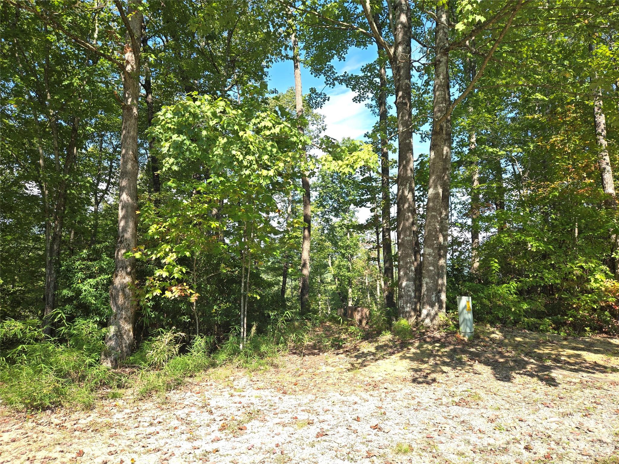 283 Ladd Ridge