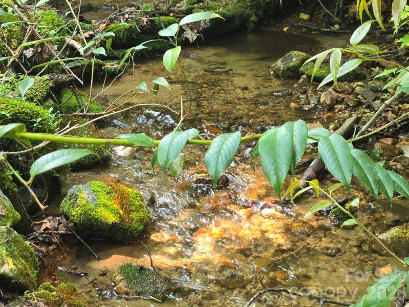 229 Hubbard Hollow Road