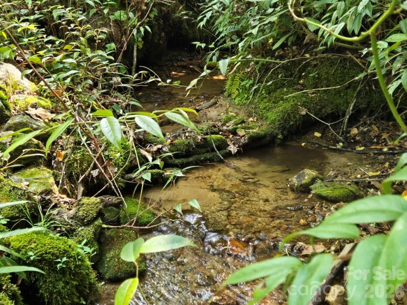 229 Hubbard Hollow Road