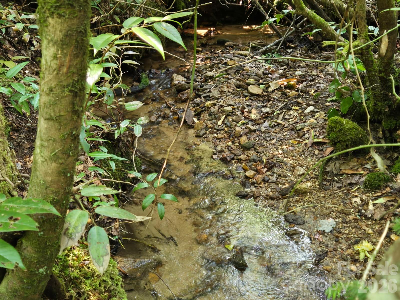 229 Hubbard Hollow Road