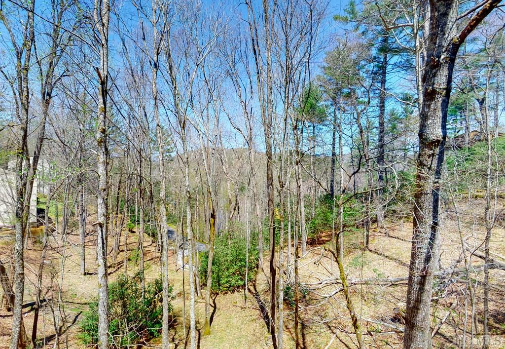 115 Dogwood Knob Lane 9B