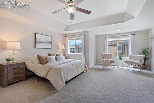 12529 Culebra Peak Drive