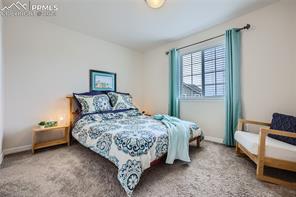 8869 Meadow Rose View