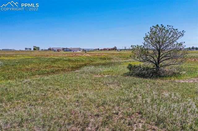 14955 Tiboria Loop