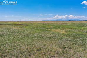 14955 Tiboria Loop