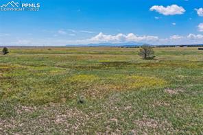 14955 Tiboria Loop